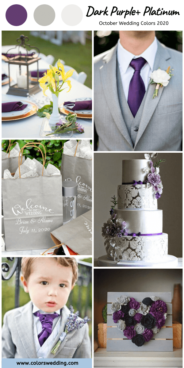 october wedding color 2020 dark purple and Platinum